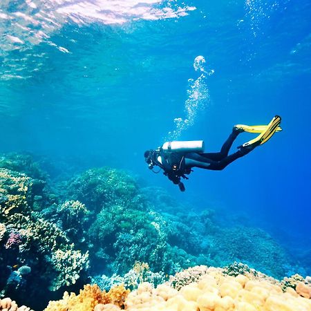 Dormio Bonaire Village Eksteriør billede