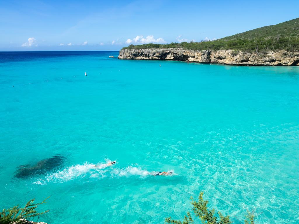 Dormio Bonaire Village Værelse billede
