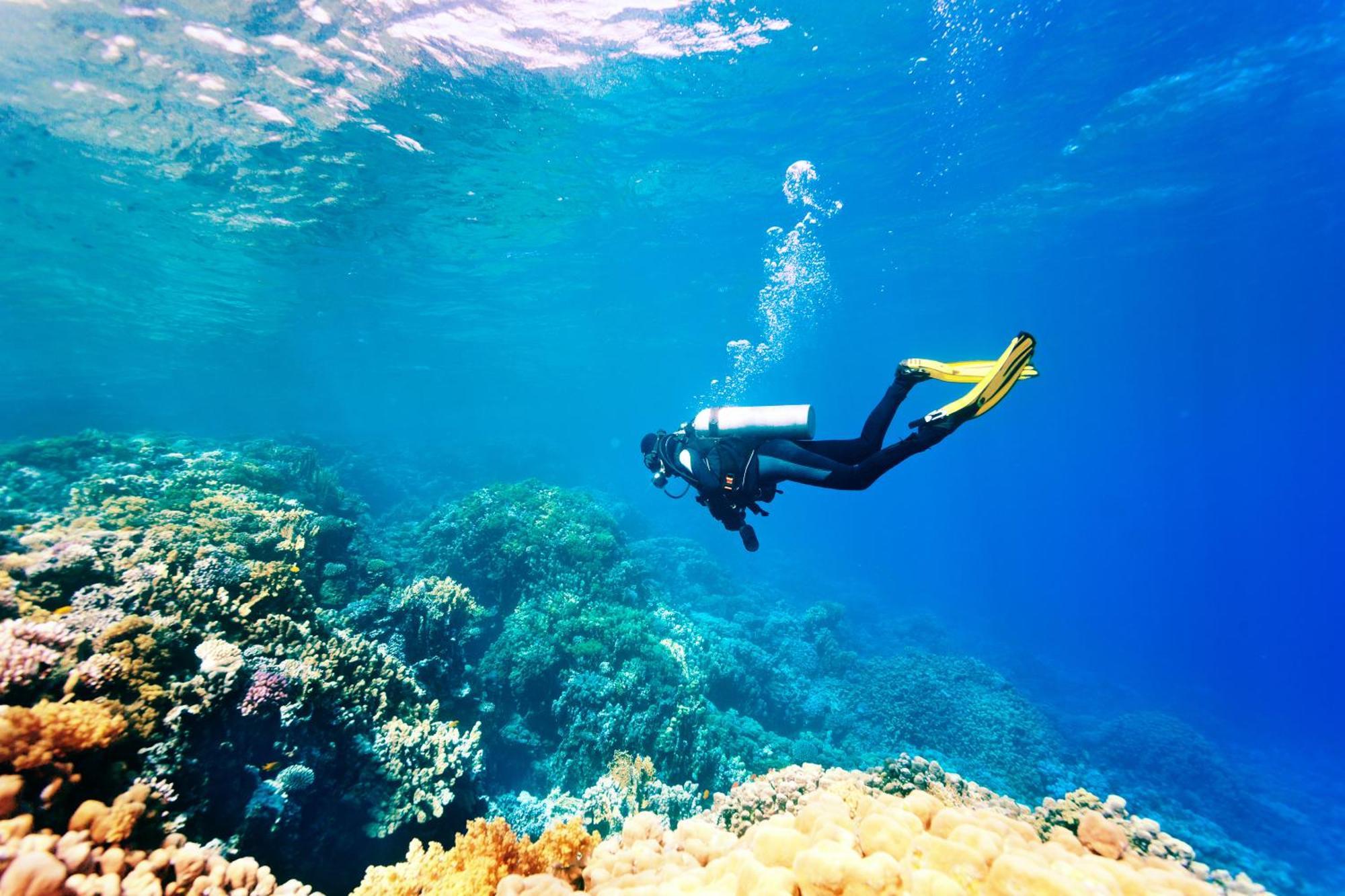 Dormio Bonaire Village Eksteriør billede