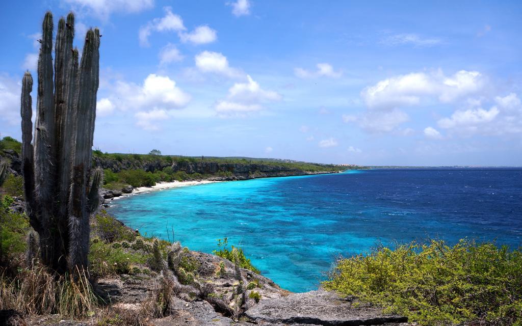Dormio Bonaire Village Værelse billede